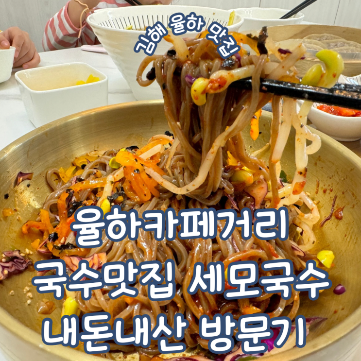  경남 김해 율하카페거리 맛집 다양한 국수가 있는 국수 맛집 세모국수 내돈내산 재방문기