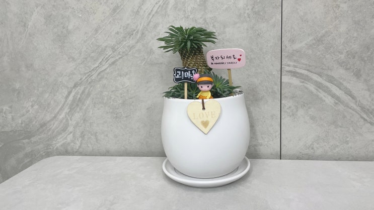  나의 특이한 반려식물 괴마옥