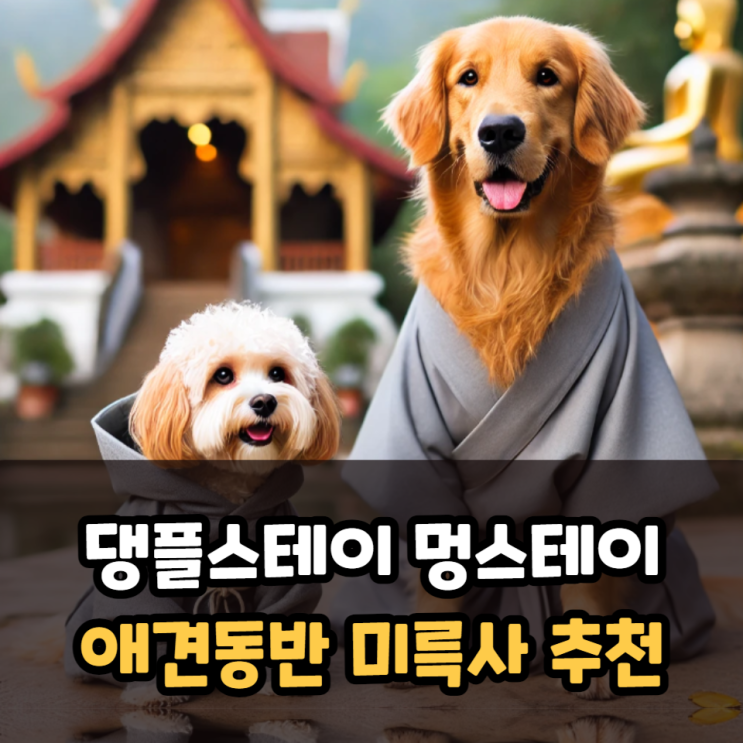  댕플스테이 멍스테이 애견동반 여행 장소 미륵사 추천