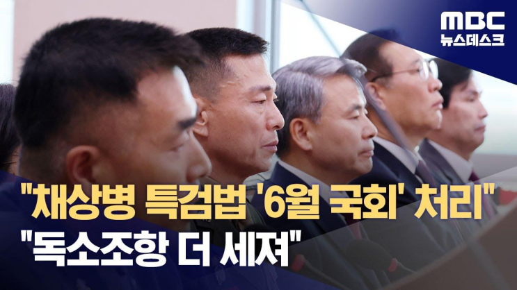 '<b>채상병 특검</b>법' 야당 단독 법사위 통과‥<b>박성재</b> 법무장관... 