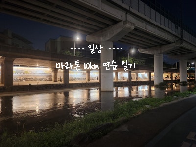  [2024. 06. 18. 일상] 2024 썸머 나이트 런 마라톤 10km 참가 위한 야외 러닝 연습 기록