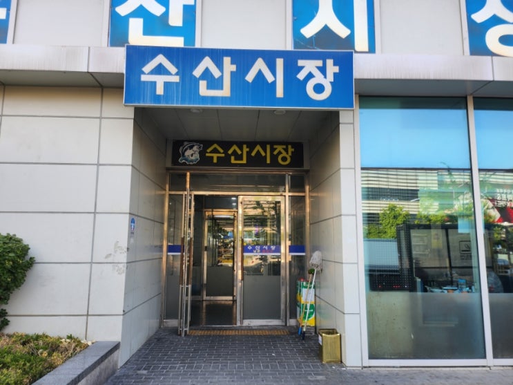  서울 송파 가락시장 횟집 보물섬수산 : 광돔회와 독도새우 가격