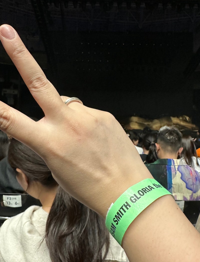 아주 뒤늦은 샘 스미스 콘서트 + 출국 배웅 후기 ✨ : 네이버 블로그, image size:800x1050