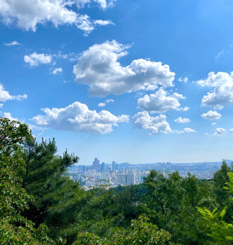  서울 둘레길 추천, 서대문 안산 자락길 메타세콰이어길 주차 가는법 휠체어대여 / 무료 셔틀버스 노선 시간표