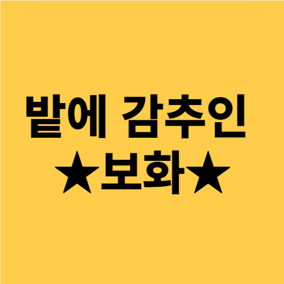  밭에서 발견한 보화 이야기