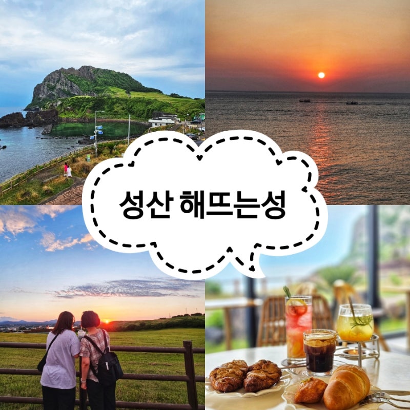 사진 5