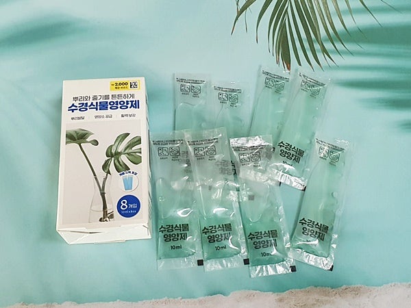 다이소 식물영양제 수경식물영양제 사용 후기