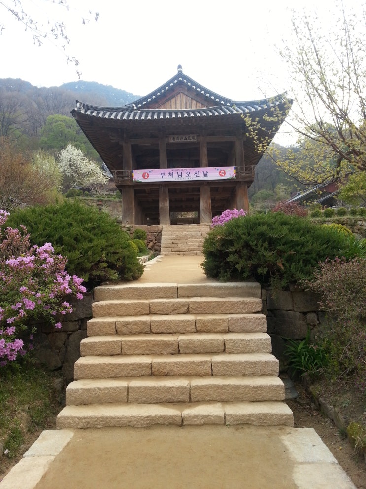  [Travelling to Korea] BUSEOKSA TEMPLE
