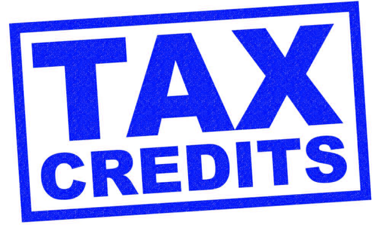 (인디샘 컨설팅) 인도에서 Tax Credit(세액공제)의 간단한 개요 (인디샘 컨설팅) 인도에서 Tax Credit(세액공제)의 간단한 개요