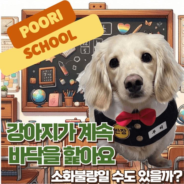 강아지가 바닥을 핥아요 소화불량일 수도 있을까?