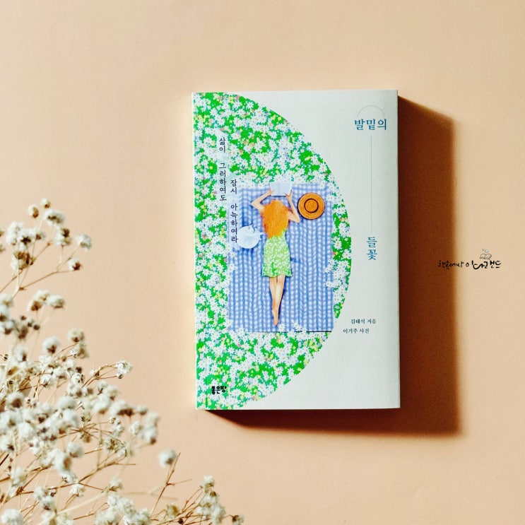  짧고 좋은 시집 추천, 선물하기 좋은 책 발밑의 들꽃