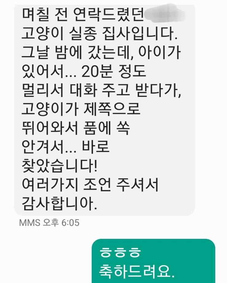  김관채 고양이탐정 후기/ 집사님들께서 보내주신 고마운 선물들