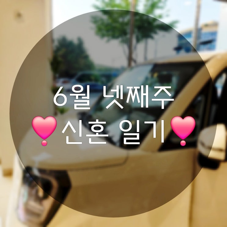  6월 넷째 주의 신혼 일상 기록(ft.새차계약 물놀이준비 포토덤프시작)