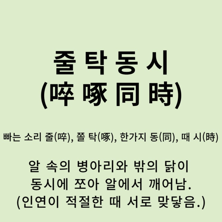  고사성어 뒤집어 보기 (30. 줄탁동시)