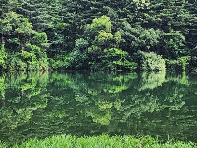 오궁지 사진 1