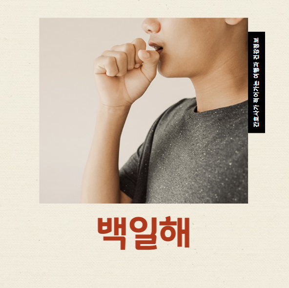  백일해 기본정보 원인과 증상, 관리방법은 무엇일까?