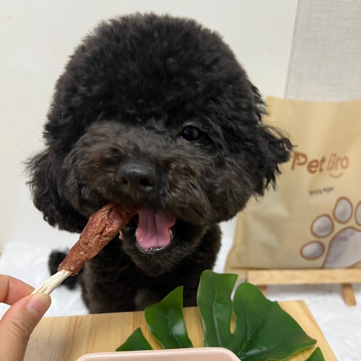  대용량 강아지수제간식 맛집 인천 펫브로 추천