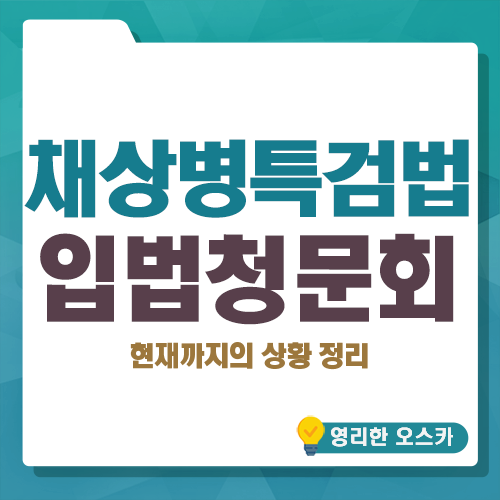 <b>채상병특검</b>법 입법청문회 - 현재까지의 상황 정리