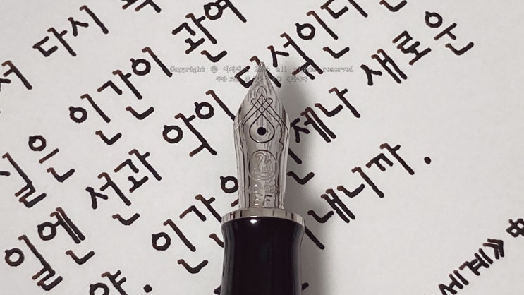  인간은 언제나 (펠리칸 M405 슈트레제만 EF닙 만년필로 필사하기)