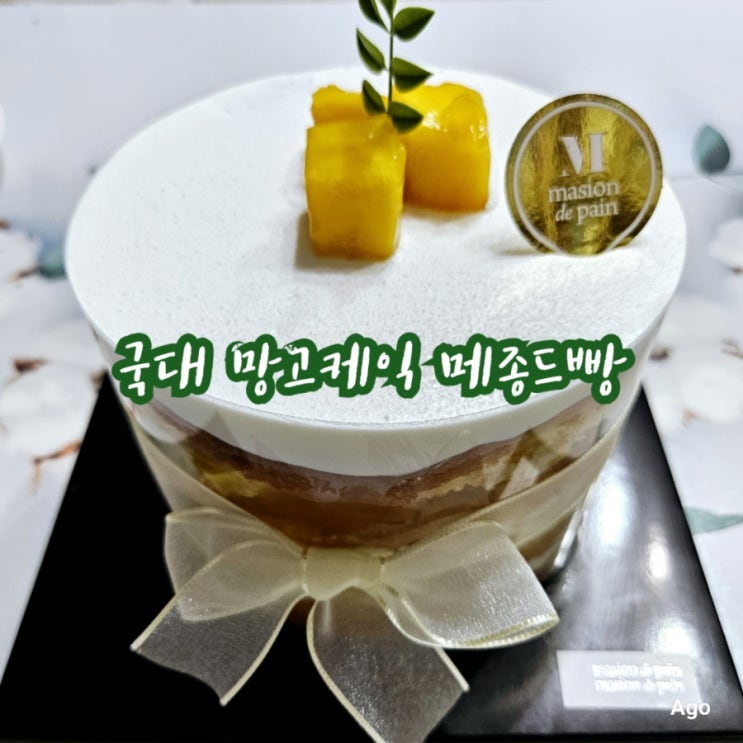  국가대표 망고케익 맛집 추천 메종드빵 feat 대구칠곡빵집