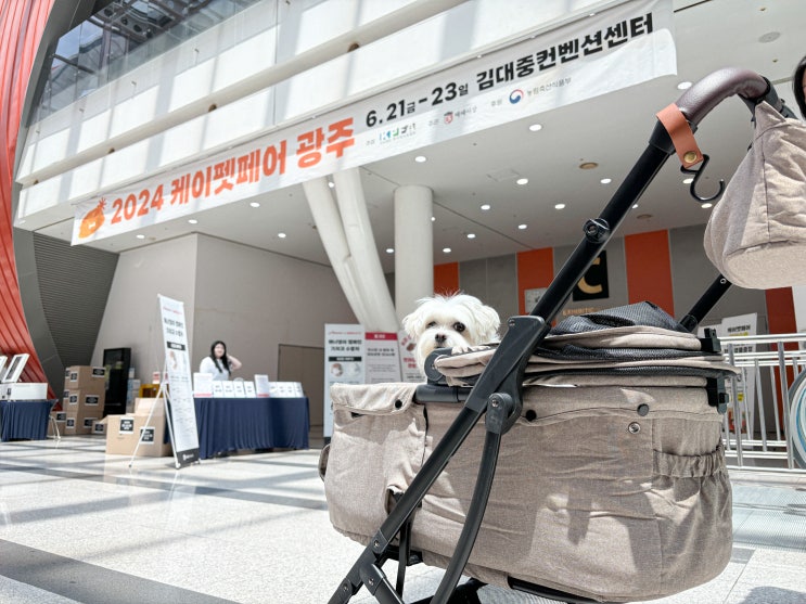  2024 케이펫페어 광주 관람 후기 | 주차 정보, 라인업, 럭키드로우 이벤트