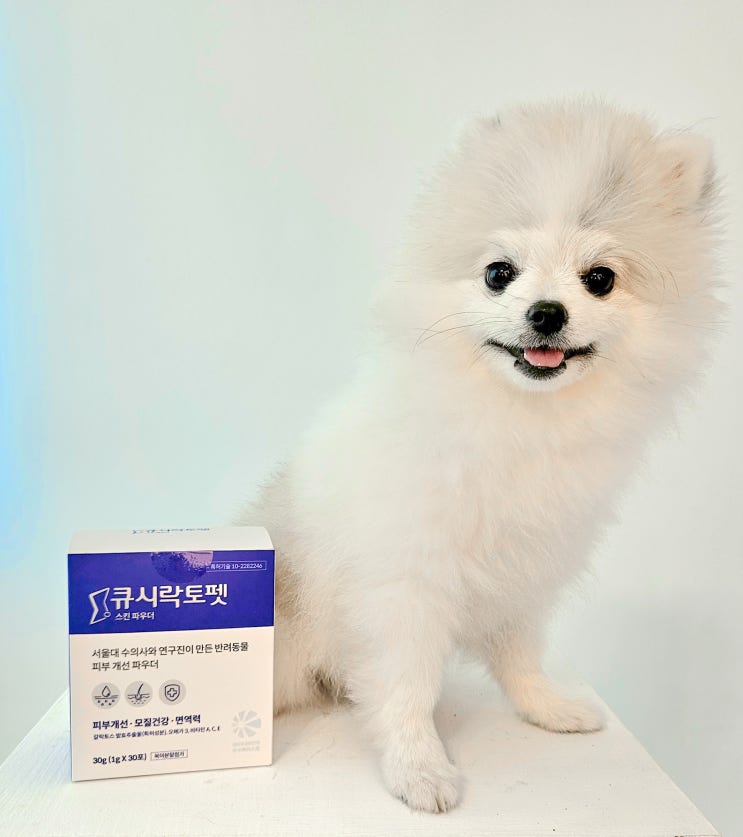  강아지 유산균 - 큐시락토 펫 유산균, 강아지 다이어트 영양제 스킨파우더