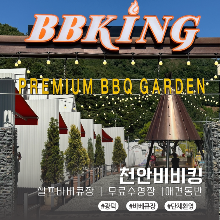  천안 셀프 바베큐장 애견동반가능 무료수영장오픈 아이와함께 :: 광덕 비비킹