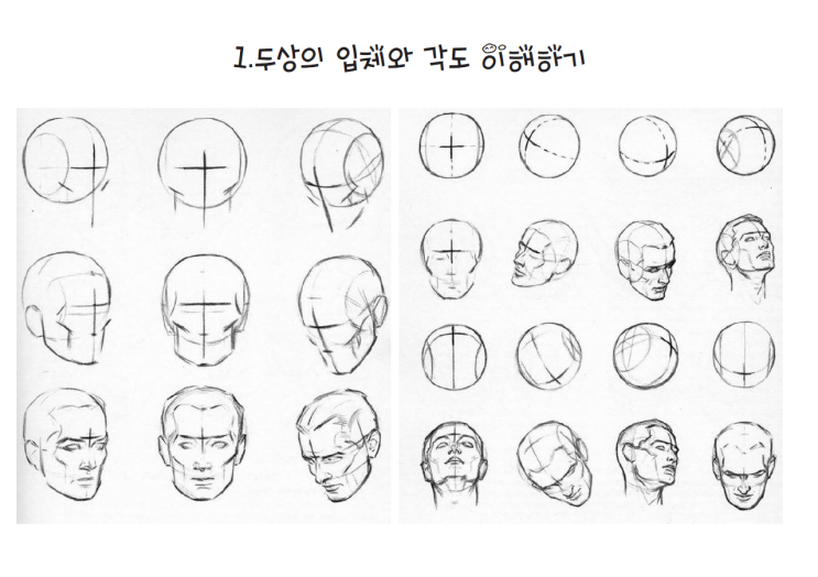  얼굴그리기 기초 4단계로 인체드로잉 극복하기 - 일산입시미술학원