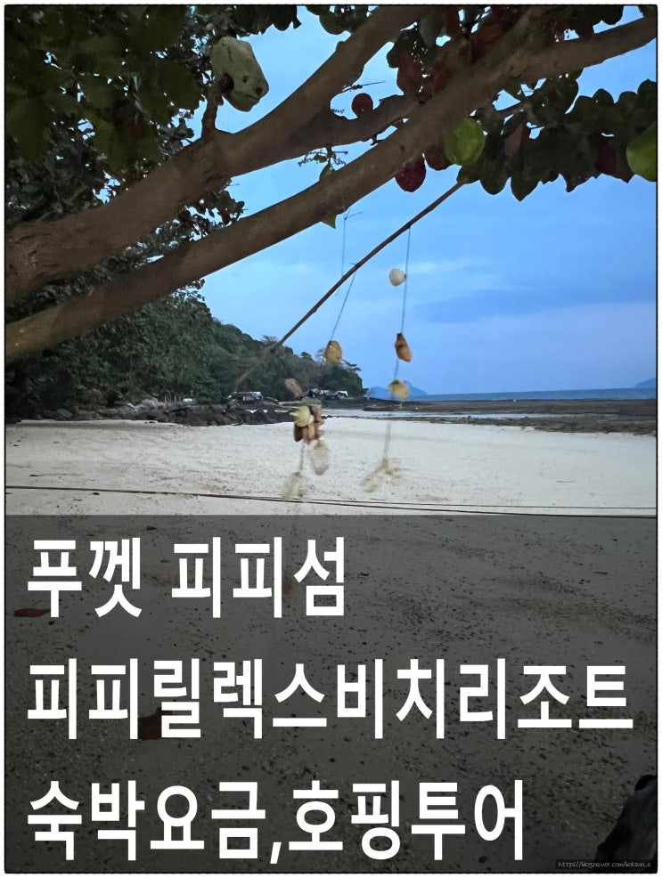  1월 푸껫 피피 릴랙스 비치 리조트 방문 후기 및 숙박 호핑투어 가격 알아보기