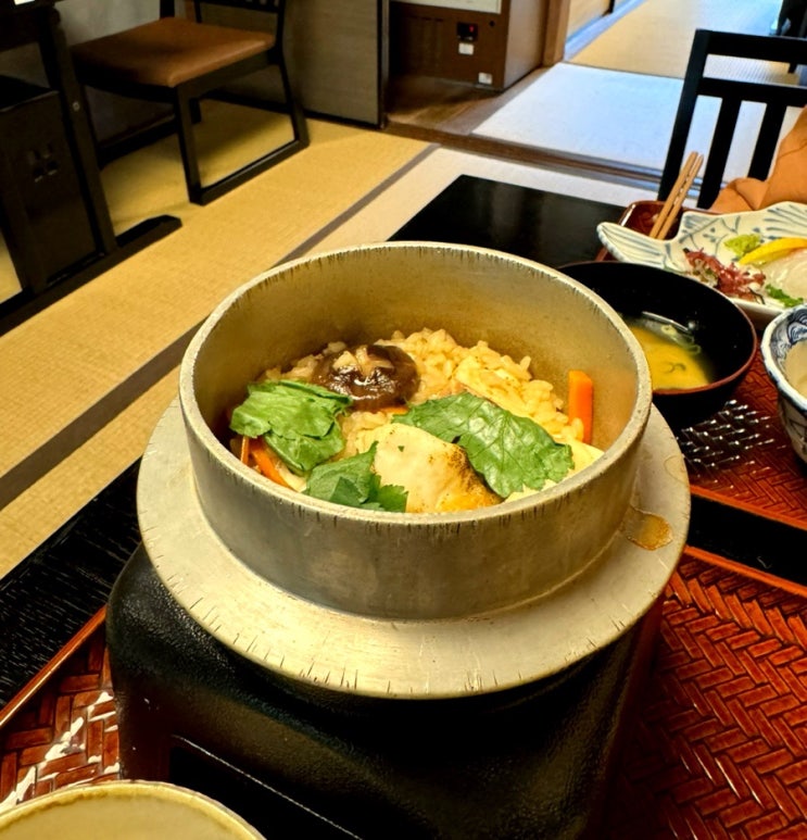  일본소도시여행 [마쓰야마 맛집 모음] 도미솥밥 치킨난반 냄비우동 야키토리꼬치구이