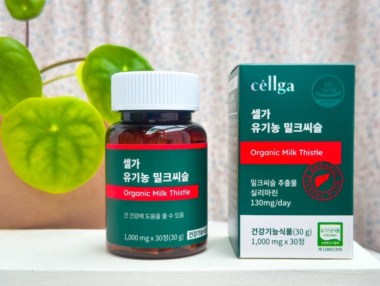  실리마린 효능 단일성분 간기능개선제 추천