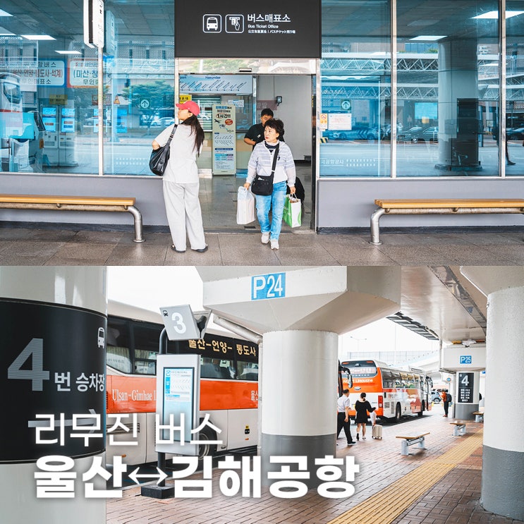  울산에서 부산 김해공항 리무진버스 타는곳 시간표 요금 총정리