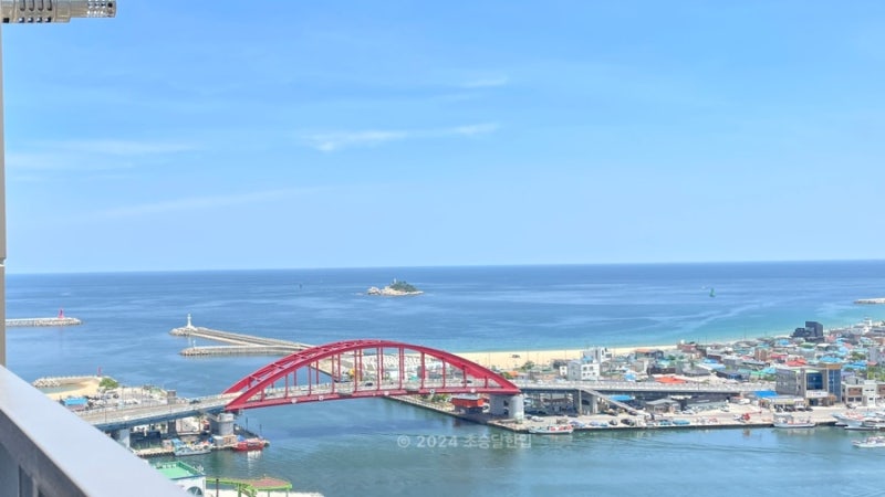 사진 6