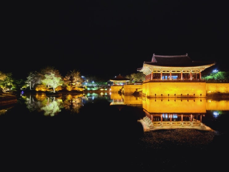  [동궁과 월지] 야경 보기 좋은 경주관광지 정보