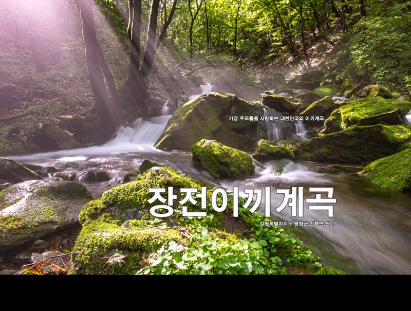 사진 9