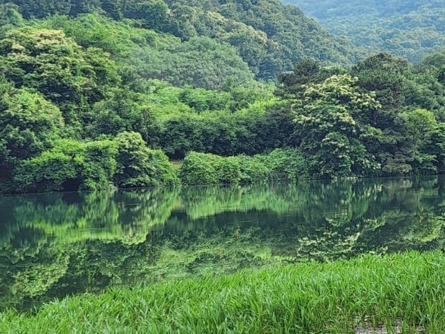 오궁지 사진 3