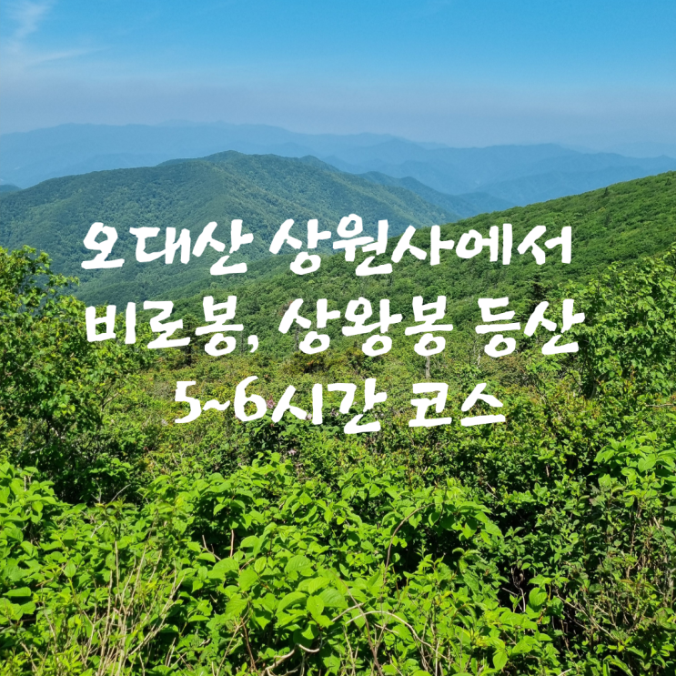  오대산 상원사에서 비로봉, 상왕봉 등산 5~6시간 코스