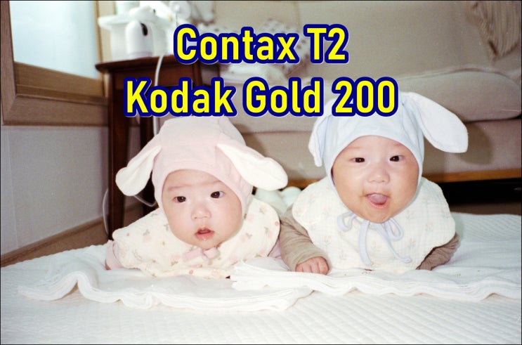  콘탁스 T2 | 코닥 골드 200 (Kodak Gold 200) | 열심히 터미타임하던 시절이 그립다 