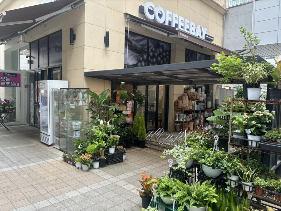 커피베이 시흥모다아울렛점 사진 1