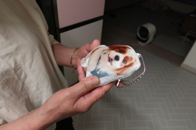  만듀가 만들어 준 아기 강아지 나무 집에 왔다.