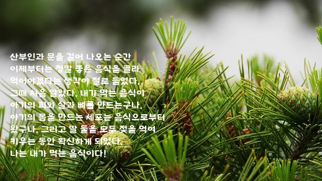 .......산부인과 .......산부인과