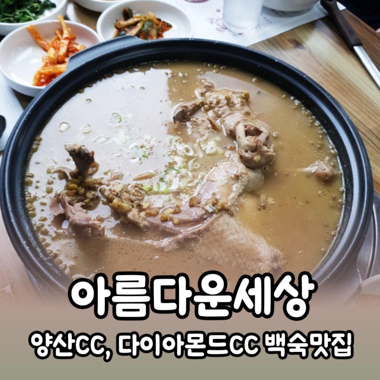  [양산] 다이아몬드cc, 양산cc 인근 오리백숙맛집 아름다운세상