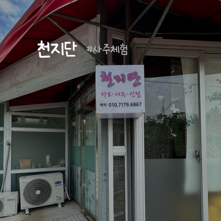  [천지단] 울산타로, 사주본 후기