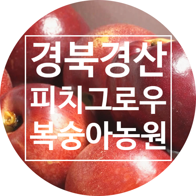  경북경산 피치그로우 복숭아농원 - 신선하고 건강한 제철 과일 선물