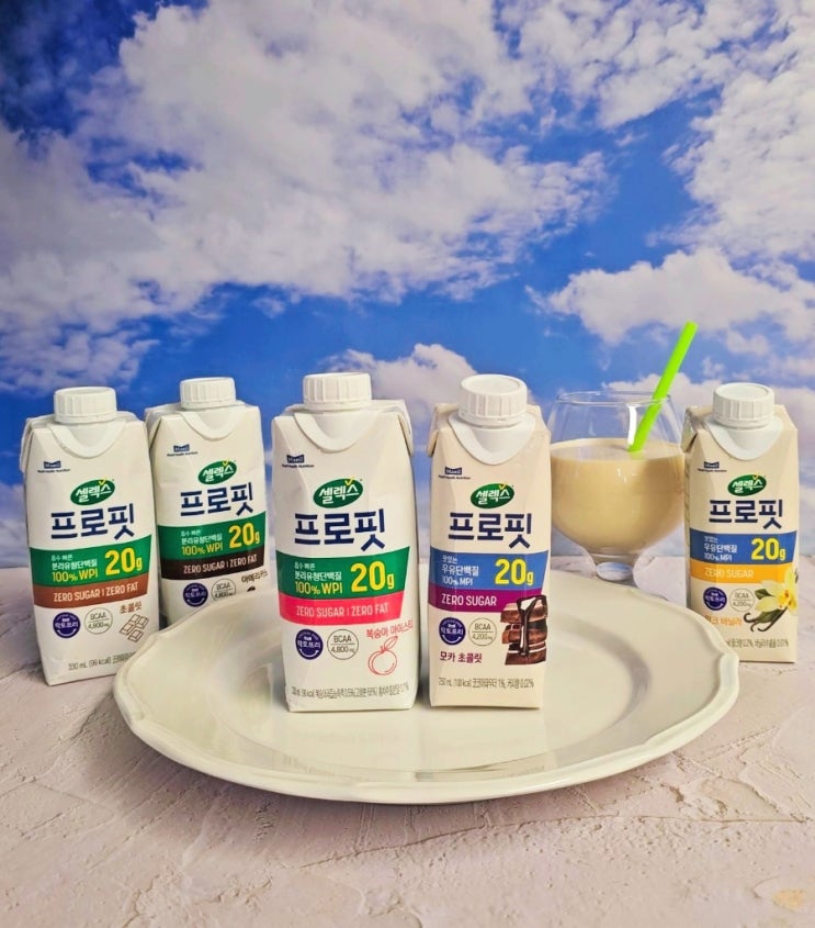 맛있는 프로틴음료 셀렉스 프로핏 단백질간식 추천 맛있는 프로틴음료 셀렉스 프로핏 단백질간식 추천