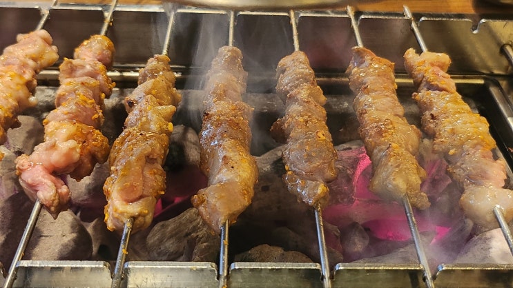  호강녀 #25 광주 첨단 양꼬치 천년홍양꼬치