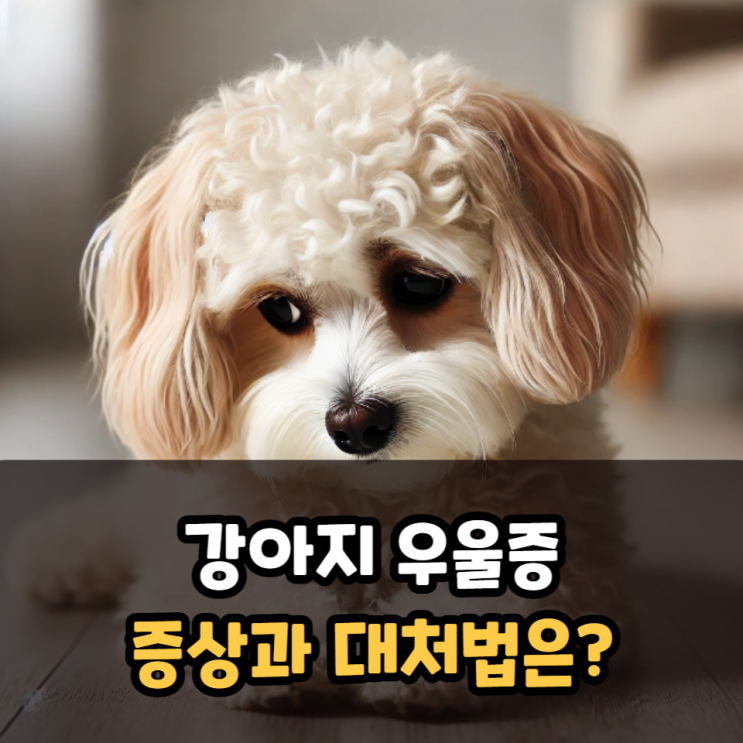  강아지 우울증 증상과 대처법은?