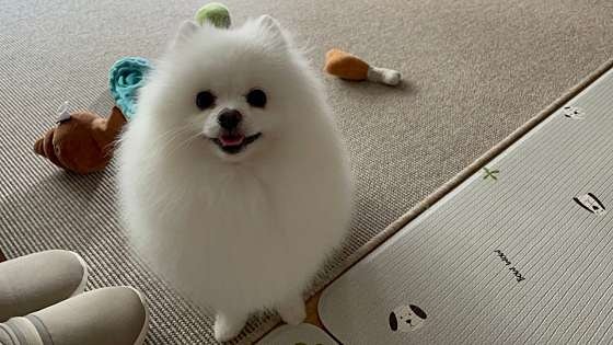 사진 4