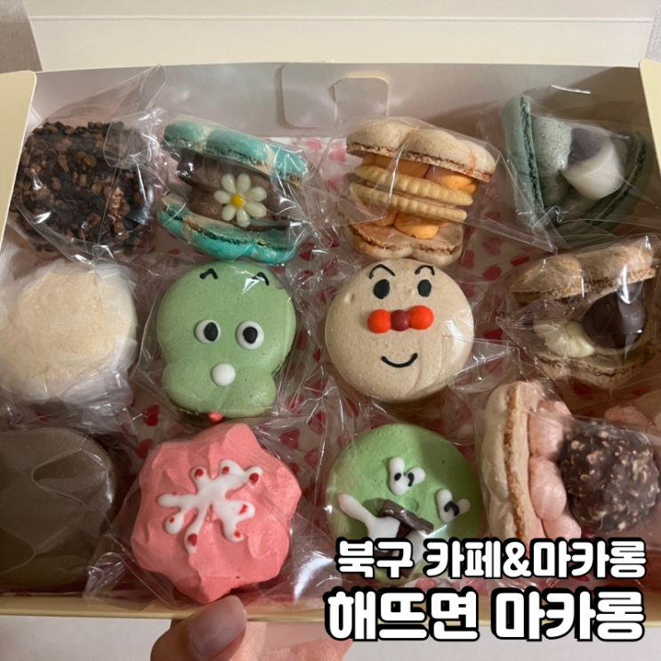  북구 카페 해뜨면마카롱 수제마카롱 후기
