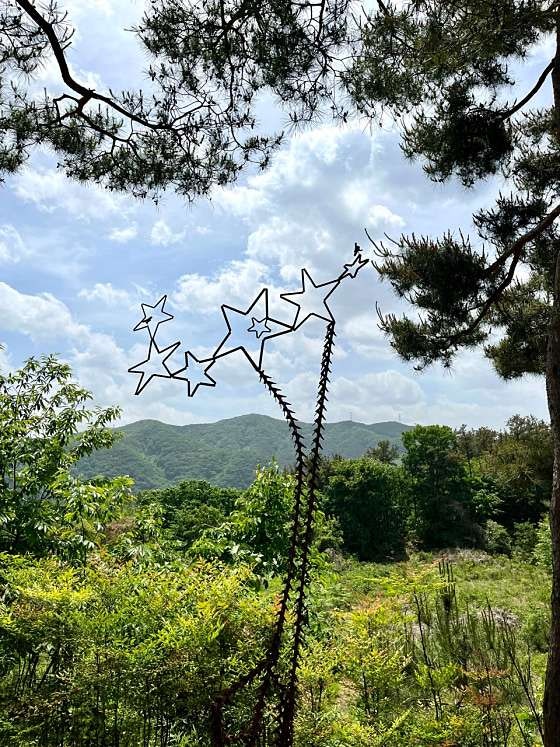 스튜디오2491 사진 5